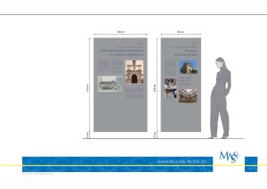 Paneles. Proyecto Museográfico